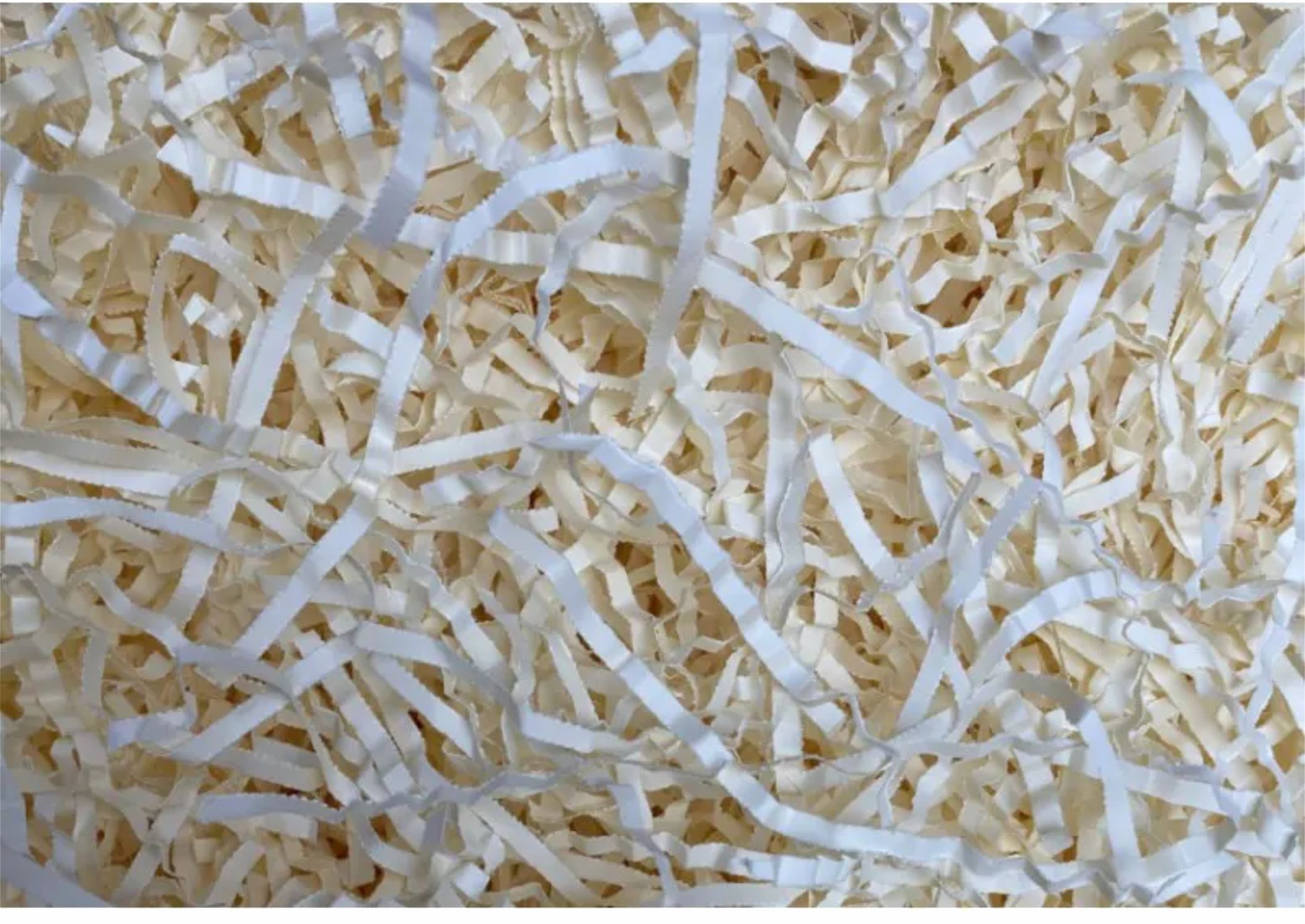 eg_shavings-ivory(1)