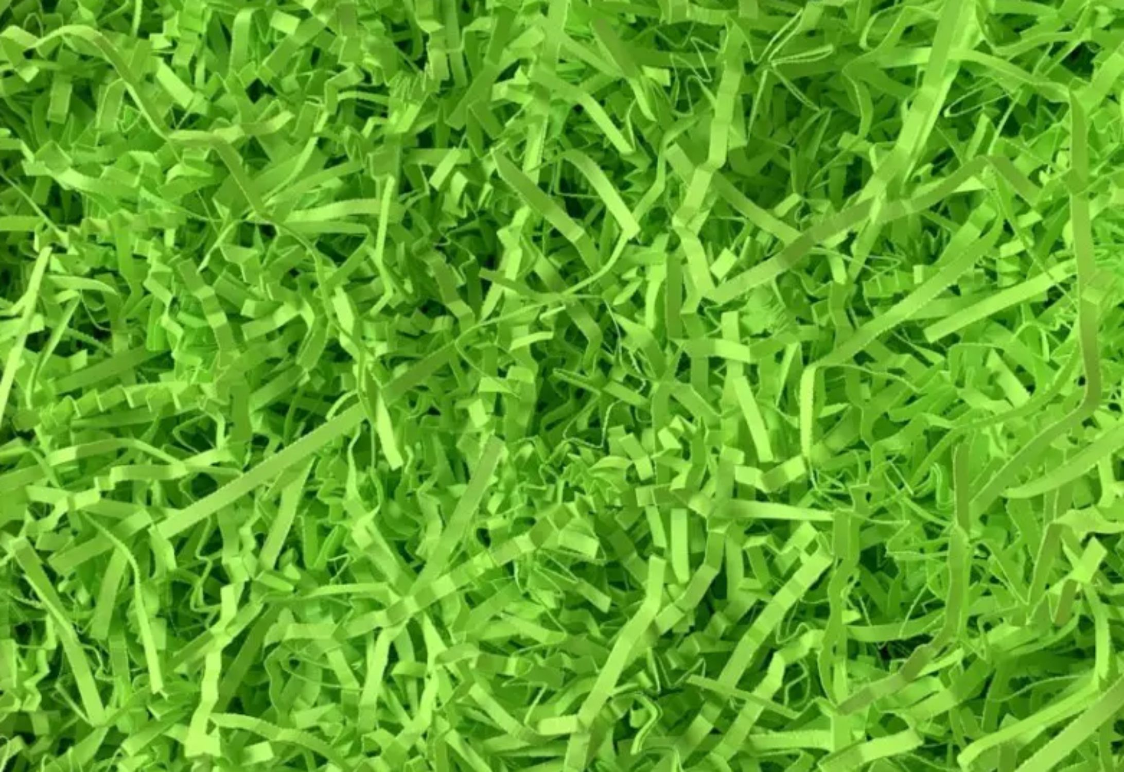 eg_shavings-neon-green(1)