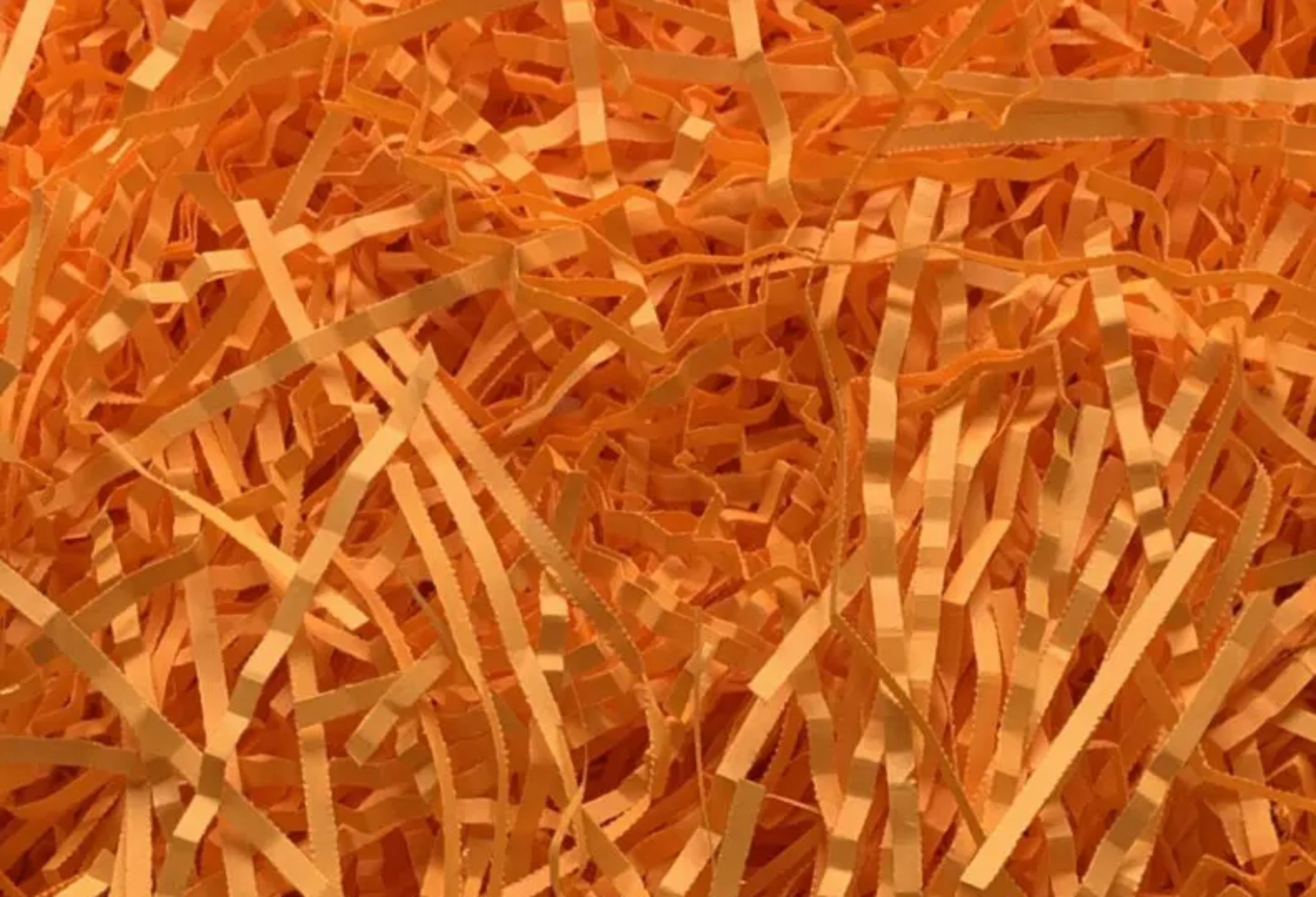 eg_shavings-neon-orange(1)