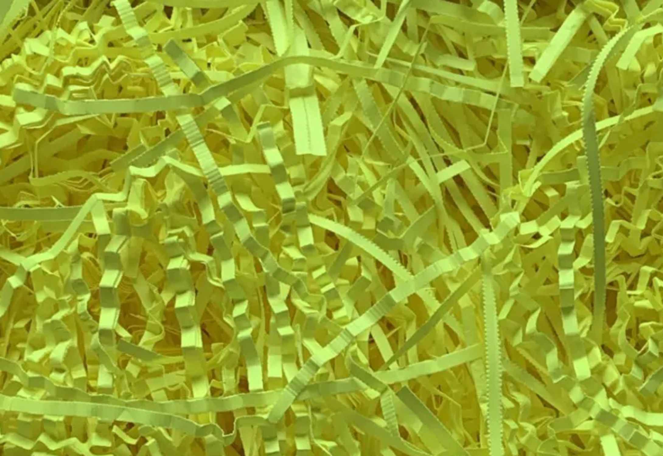 eg_shavings-neon-yellow(1)