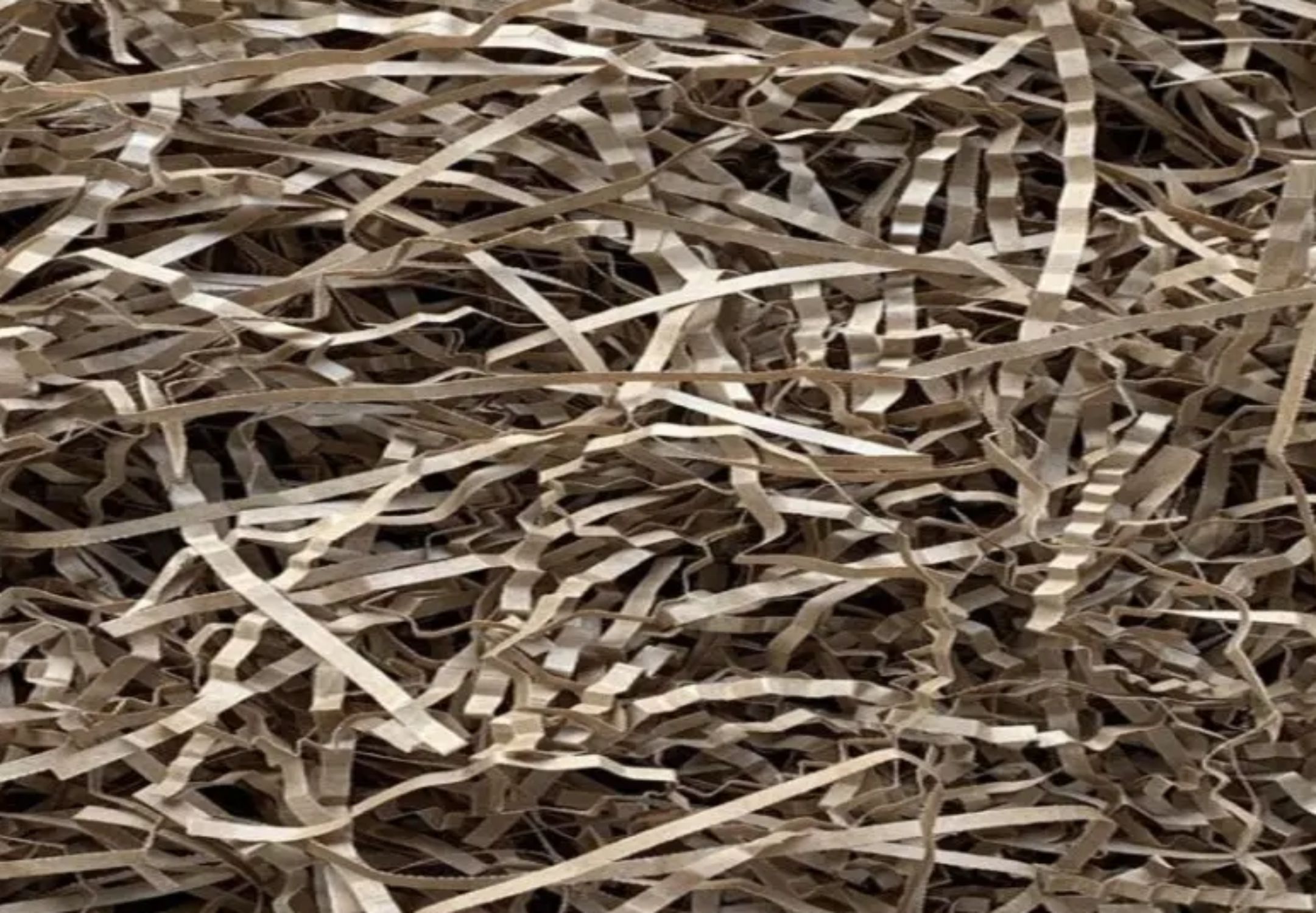 eg_shredded-paper-kraft(1)