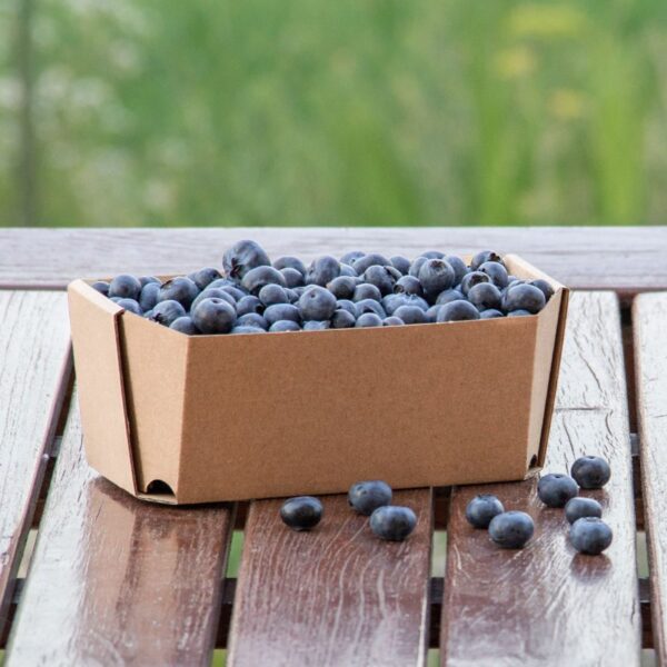 Box for fruit 17x11,7x6,8 cm (width x length x height/ inner sizes) 18x12x7 cm outer sizes, 3-layer corrugated cardboard ca 3 mm brown/brown