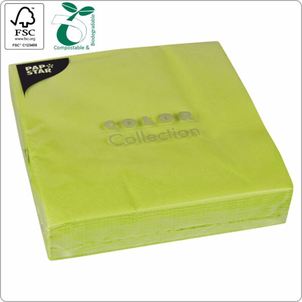 Napkins 40x40 cm 1/4 fold, 2-ply light green paper tissue FSC® certified, 50 pcs/pack